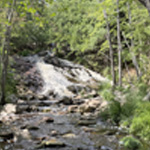 Duchesnay